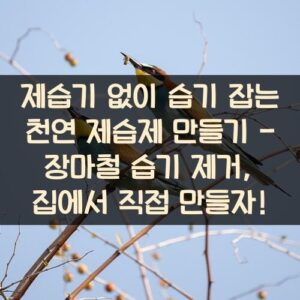 20250916_제습기 없이 습기 잡는 천연 제습제 만들기 – 장마철 습기 제거, 집에서 직접 만들자!