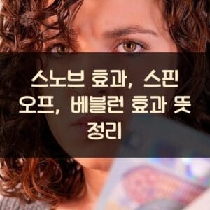 스노브 효과, 스핀 오프, 베블런 효과 뜻 정리