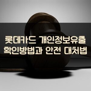 롯데카드 개인정보유출 확인방법과 안전 대처법 롯데카드 개인정보유출 확인방법과 안전 대처법