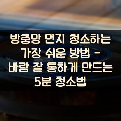 방충망 먼지 청소하는 가장 쉬운 방법 - 바람 잘 통하게 만드는 5분 청소법