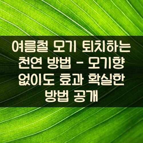 여름철 모기 퇴치하는 천연 방법 - 모기향 없이도 효과 확실한 방법 공개
