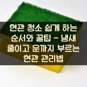 현관 청소 쉽게 하는 순서와 꿀팁 - 냄새 줄이고 운까지 부르는 현관 관리법