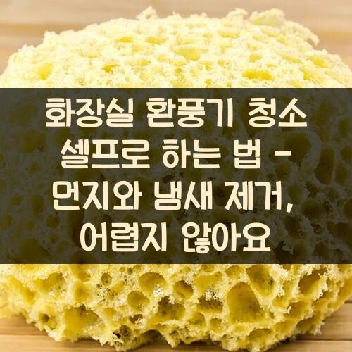 화장실 환풍기 청소 셀프로 하는 법 - 먼지와 냄새 제거, 어렵지 않아요