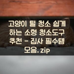 고양이 털 청소 쉽게 하는 소형 청소도구 추천 - 집사 필수템 모음.zip