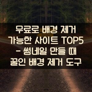 무료로 배경 제거 가능한 사이트 TOP5 - 썸네일 만들 때 꿀인 배경 제거 도구