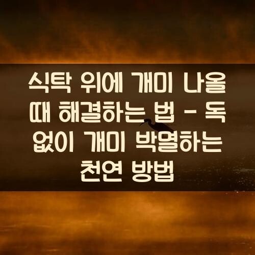 식탁 위에 개미 나올 때 해결하는 법 - 독 없이 개미 박멸하는 천연 방법