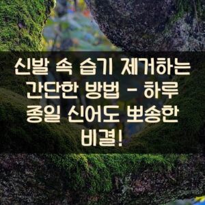 신발 속 습기 제거하는 간단한 방법 - 하루 종일 신어도 뽀송한 비결!
