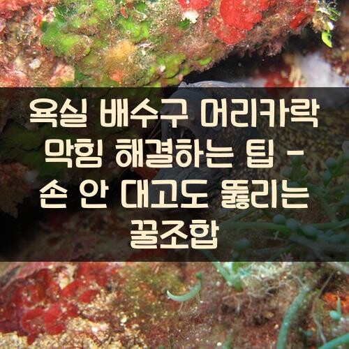 욕실 배수구 머리카락 막힘 해결하는 팁 - 손 안 대고도 뚫리는 꿀조합