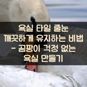욕실 타일 줄눈 깨끗하게 유지하는 비법 - 곰팡이 걱정 없는 욕실 만들기