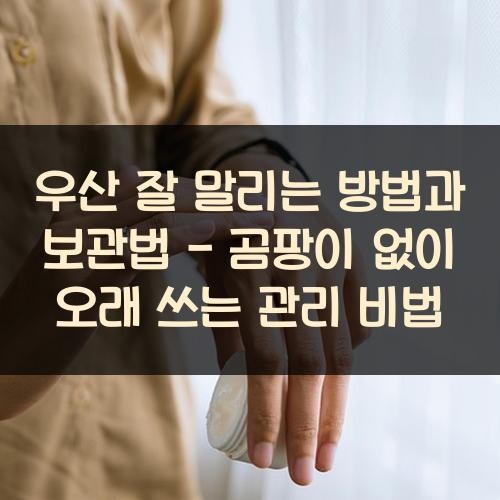 우산 잘 말리는 방법과 보관법 - 곰팡이 없이 오래 쓰는 관리 비법