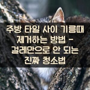 주방 타일 사이 기름때 제거하는 방법 - 걸레만으로 안 되는 진짜 청소법