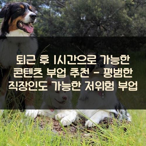 퇴근 후 1시간으로 가능한 콘텐츠 부업 추천 - 평범한 직장인도 가능한 저위험 부업