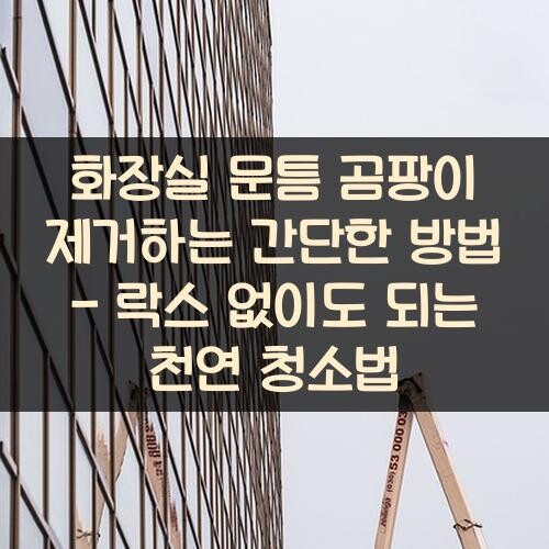 화장실 문틈 곰팡이 제거하는 간단한 방법 - 락스 없이도 되는 천연 청소법