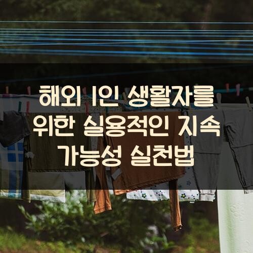 해외 1인 생활자를 위한 실용적인 지속 가능성 실천법